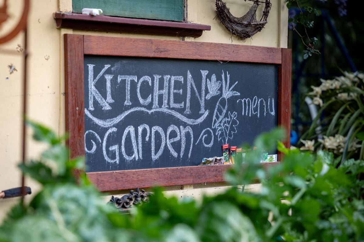Chalkboard signs — photographed at Springwood, Blue Mountains