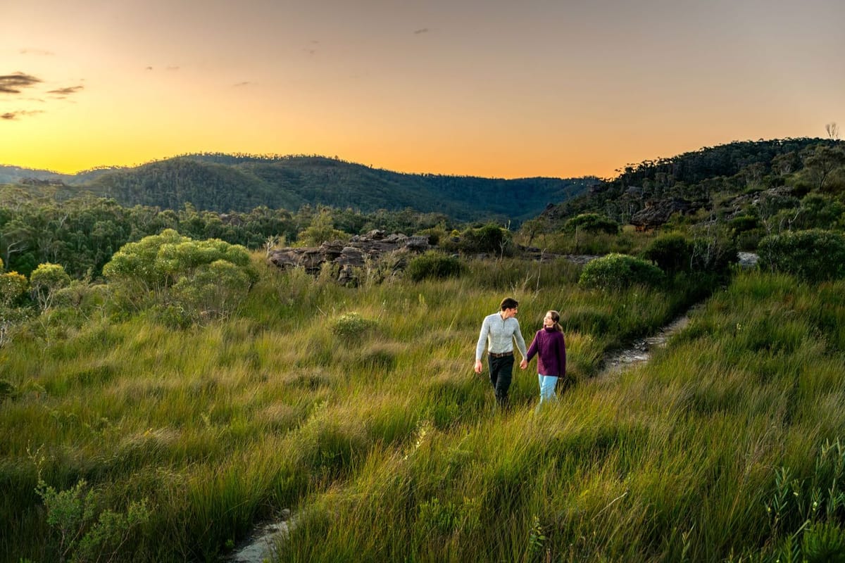 Grassy trail — photographed at Walls Lookout, Blue Mountains