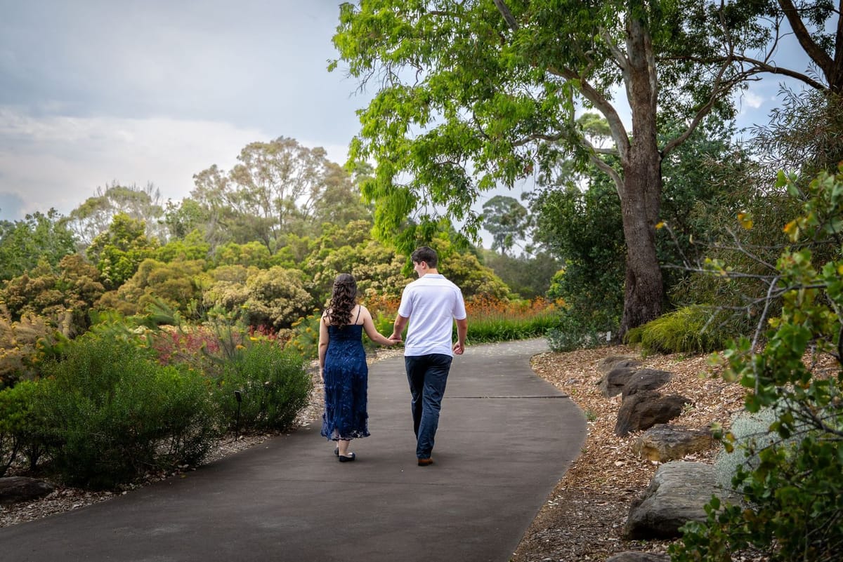 Winding path — photographed at Mount Annan Botanic Gardens, Mount Annan