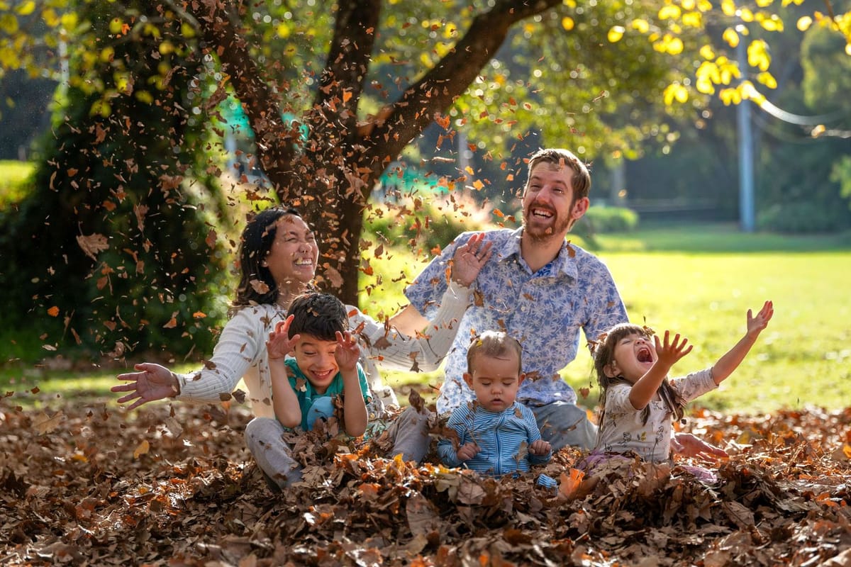 Autumn leaves — photographed at Gloria Park, Hazelbrook