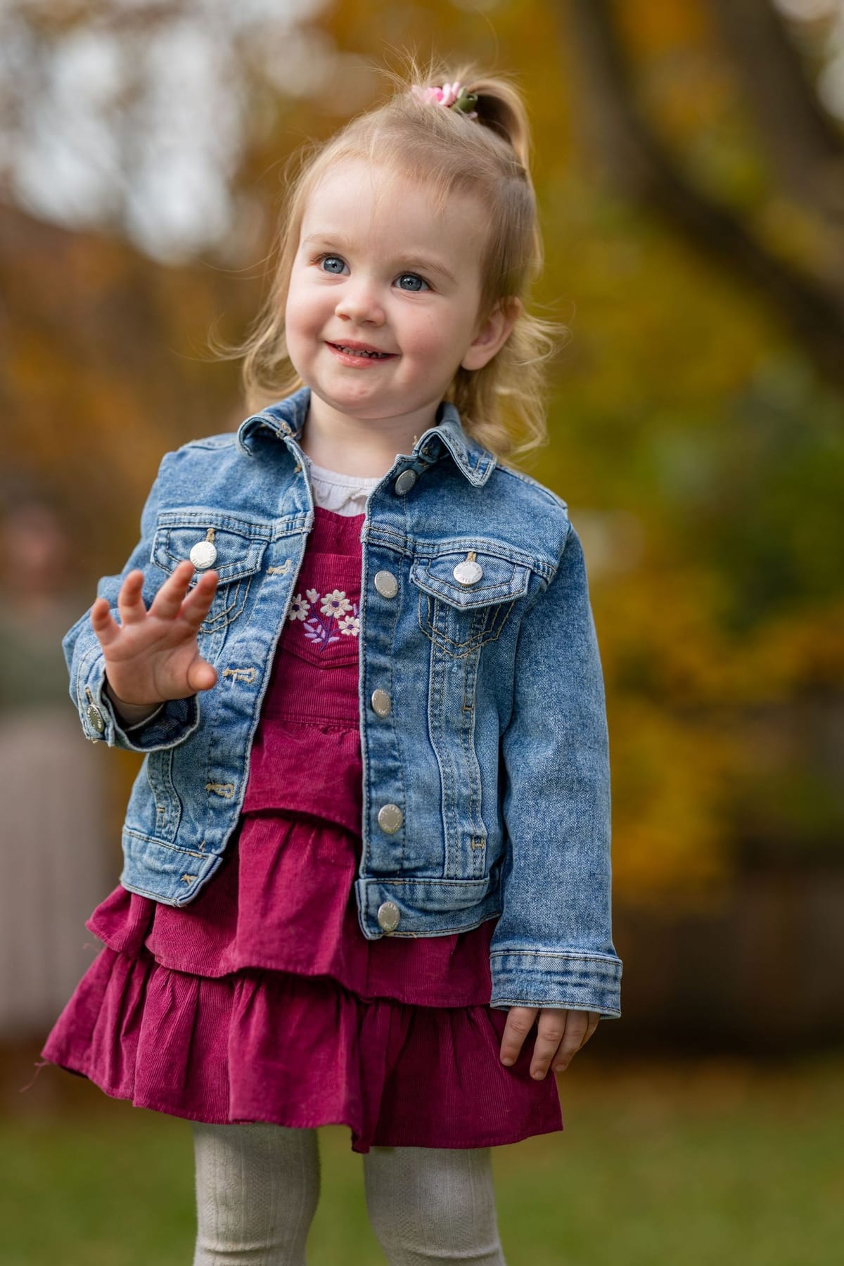 Toddler waving autumn — photographed at Winmalee, Blue Mountains